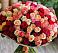 Букет 101 Разноцветная роза в Ивановское