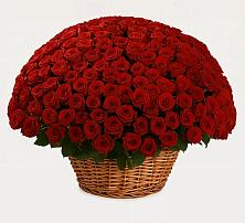 Премиум букет из: Розы в Ивановское